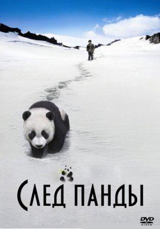 След панды  / Trail of the Panda